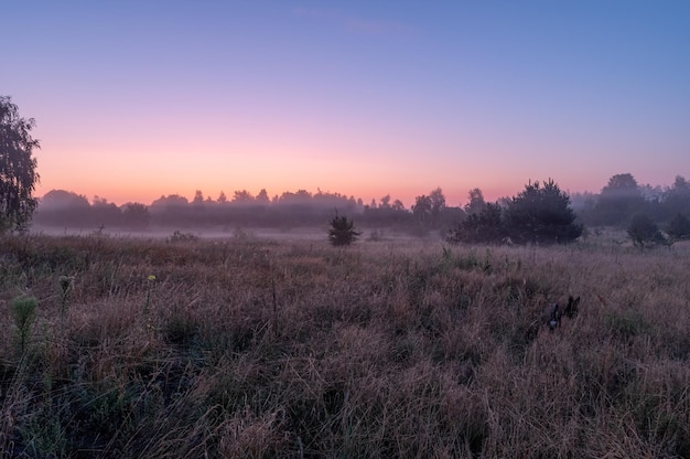 Warmer Morgen auf dem Feld Sonnenaufgang auf dem Feld Morgennebel