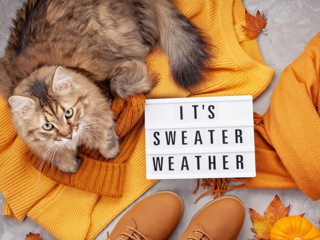 Warmes Outfit für kaltes Wetter in trendigen Farben