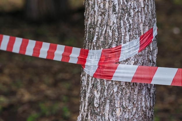 Warnband auf einem Baum im Park