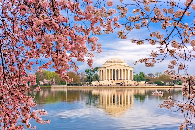 Washington DC Frühling