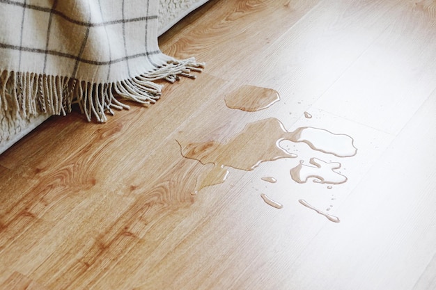 Wasser auf dem Laminatboden im Wohnzimmer