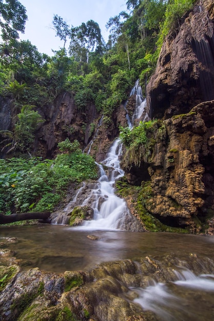 Wasser, das von Felsen in einen Bach fällt
