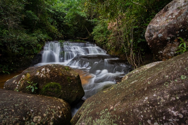 Wasser fallen in den Wald