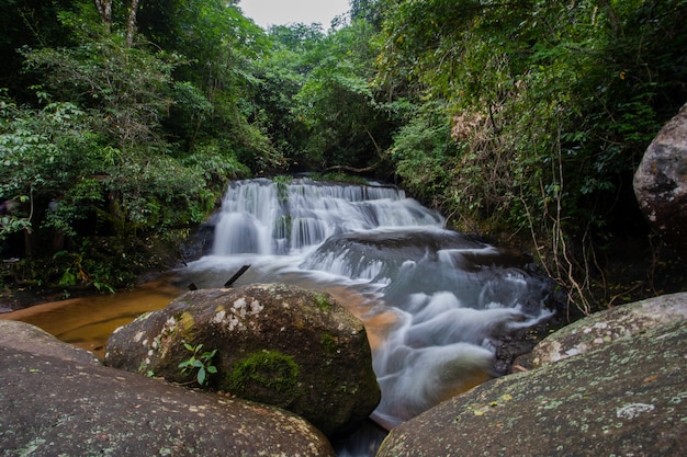 Wasser fallen in wild