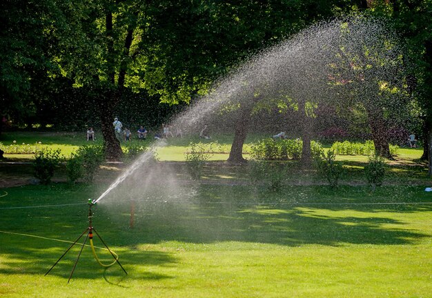 Wasser gesprüht für Garten