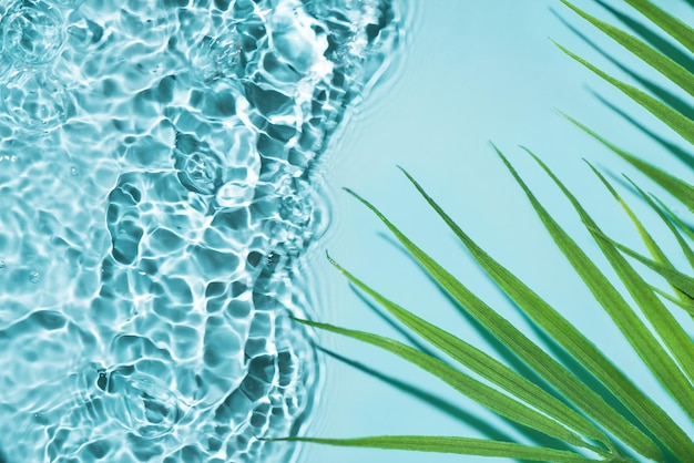 Foto wasser-hintergrund mit palmblatt-toppansicht tropischer sommer-huntergrund für das design reise-ferien