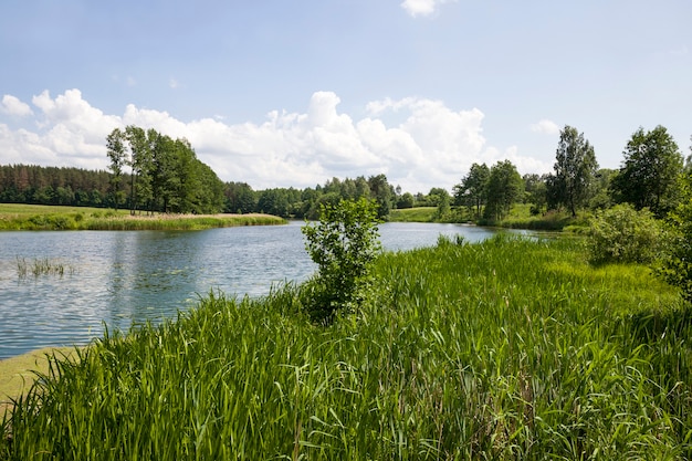 Wasser in einem See