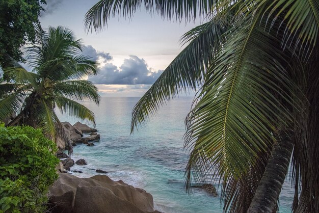 Wasser Meer Strandlandschaft