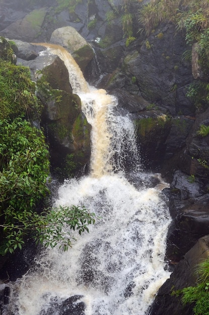 Wasser plätschert vom Wasserfall in einem nebligen Wald. Wasser stürzt von den nebligen Bergen herab