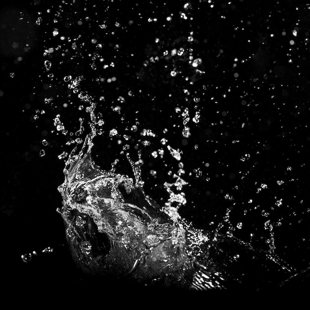 Wasser spritzt auf schwarzem Hintergrund und explodiert