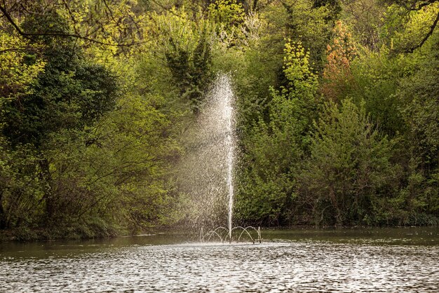 Wasserbrunnen in einem frühlingsgrünen sonnigen öffentlichen Park natürlichen saisonalen Hintergrund