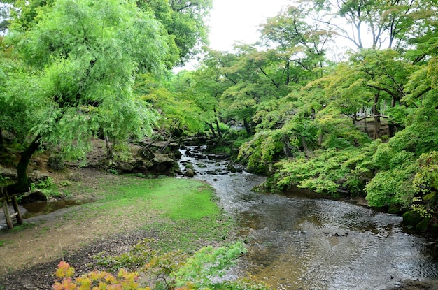 Wasserfälle im Garten des Todaiji-Tempels in Nara, Japan