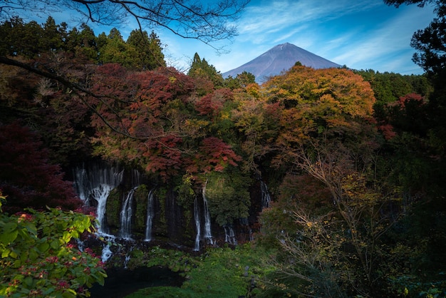 Wasserfälle im Wald Japan