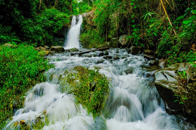 Wasserfälle in der Natur