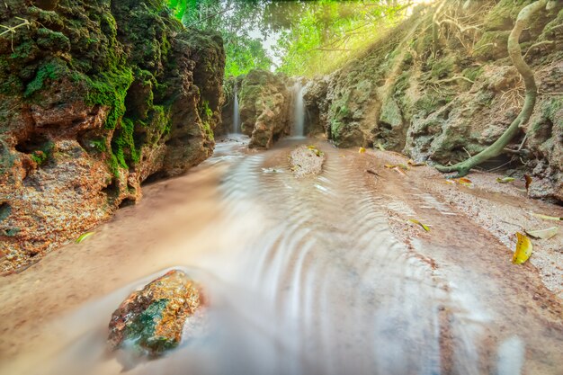 Wasserfälle in der Wildnis