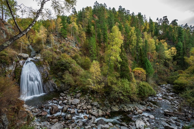 Foto wasserfall auf dem teletskoye-see im altai-gebirge.