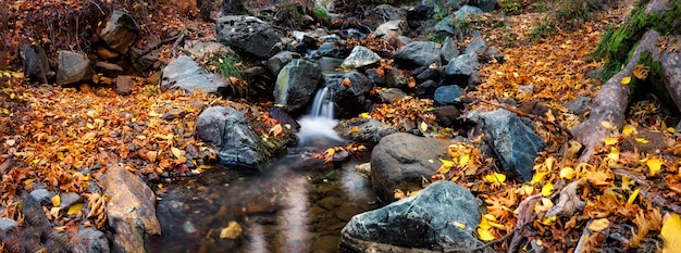 Wasserfall auf Gebirgsfluss im Herbstwald