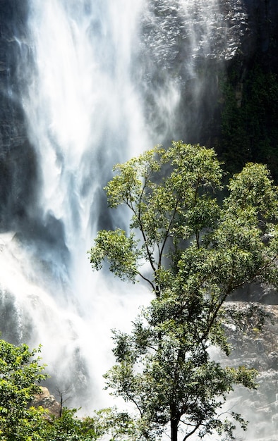 Wasserfall auf Sri Lanka