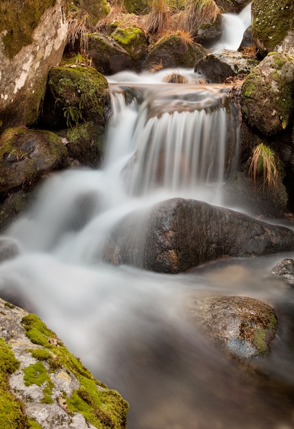 Wasserfall, der auf Steine ​​mit Moos fällt