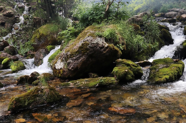 Wasserfall, der durch moosige Felsen fließt