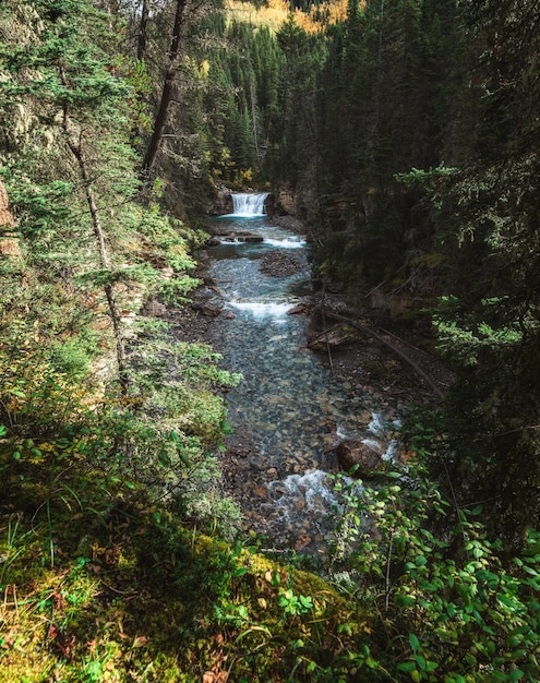 Wasserfall, der im Tal am oberen Wasserfall im Johnston Canyon im Banff-Nationalpark in Kanada fließt