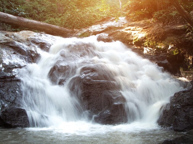 Wasserfall des Waldes heißer Frühling