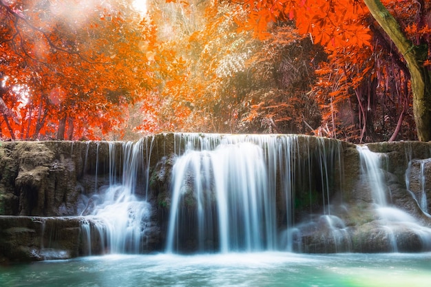 Wasserfall Herbst tiefer Wald malerisches natürliches Sonnenlicht