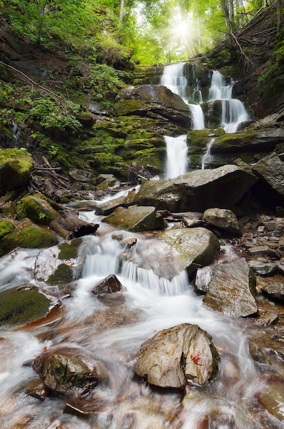 Wasserfall im Bergwald. Wasserfall Shipot, Karpaten, Ukraine