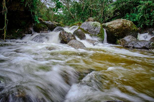 Wasserfall im Dschungel