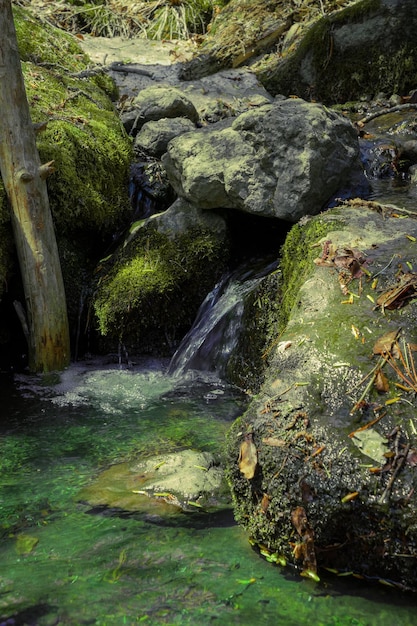 Wasserfall im Herbstwald