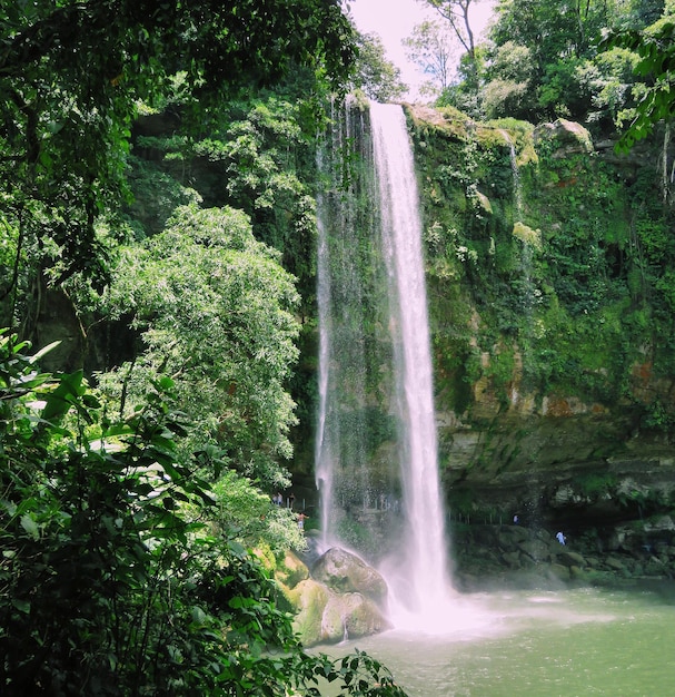 Wasserfall im Regenwald