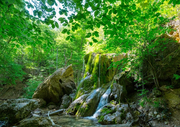 Wasserfall im schönen grünen Wald