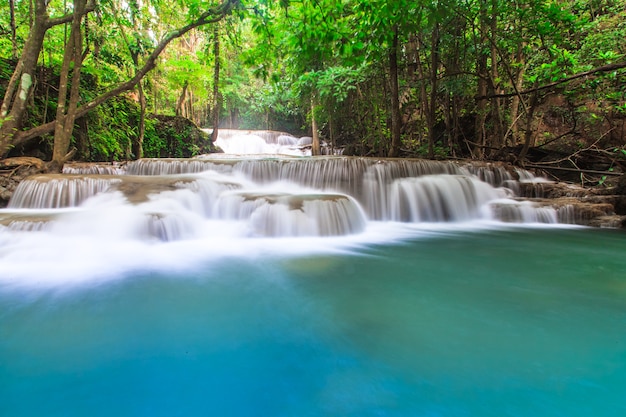 Wasserfall im tiefen Wald