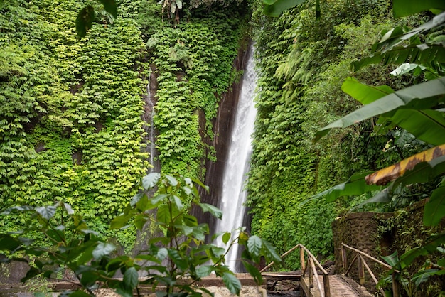 Wasserfall im tropischen Wald in Bali Indonesien