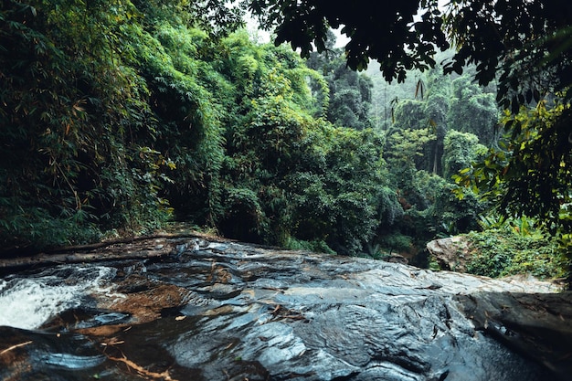 Wasserfall im tropischen Wald in der Regenzeit