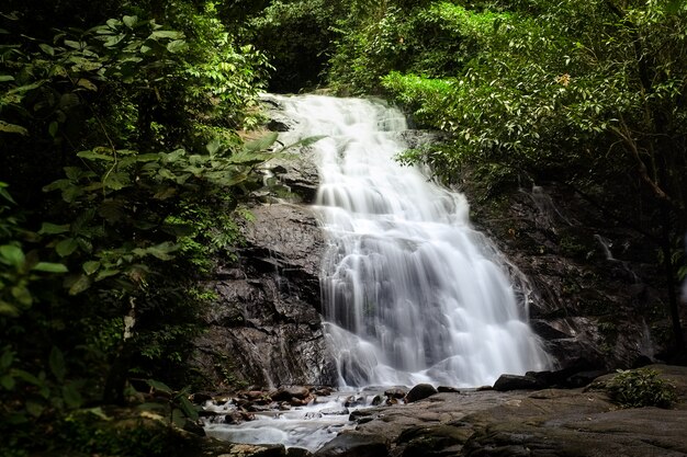 Wasserfall im tropischen Wald um den wilden Dschungel