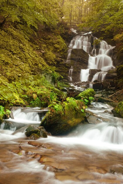 Wasserfall im Wald am Gebirgsfluss mit Steinen