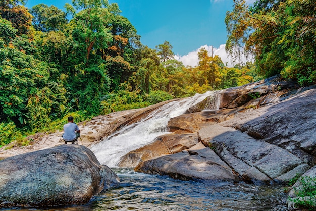 Wasserfall im Wald mit grüner Baumnatur