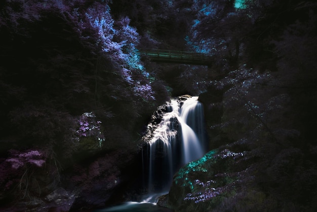 Wasserfall im Wald