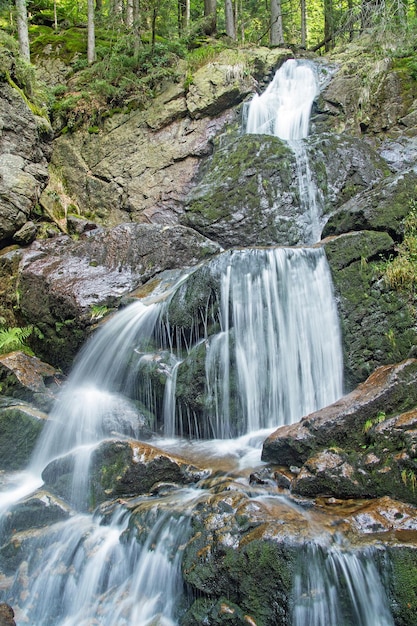 Foto wasserfall im wald