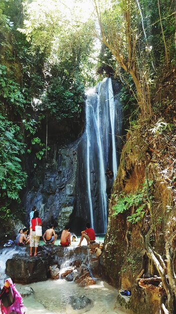 Foto wasserfall im wald