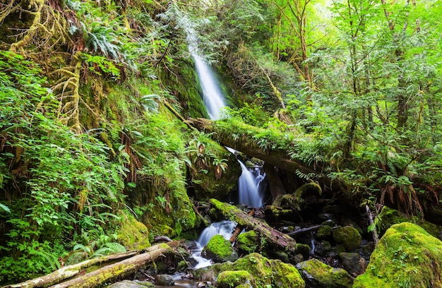 Wasserfall im Wald