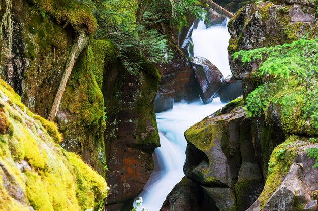 Wasserfall im Wald