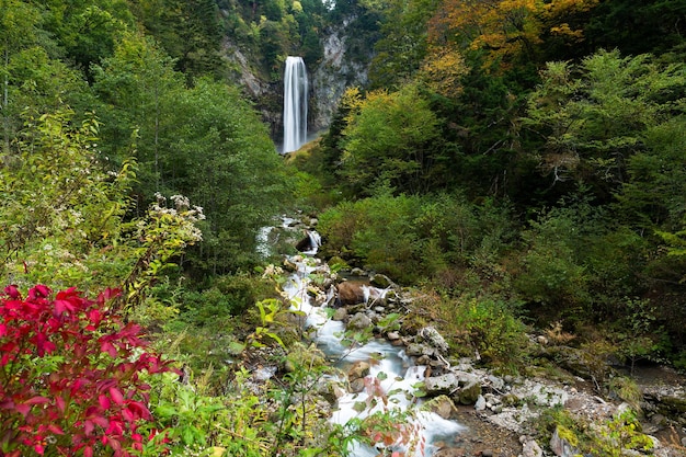 Wasserfall im Wald