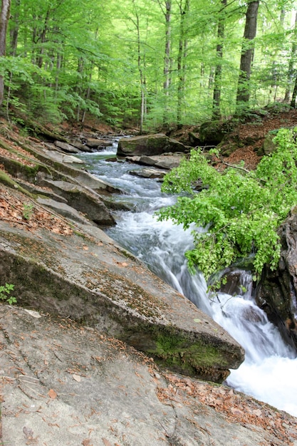 Wasserfall im Wald