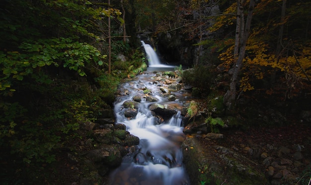 Wasserfall im Wald