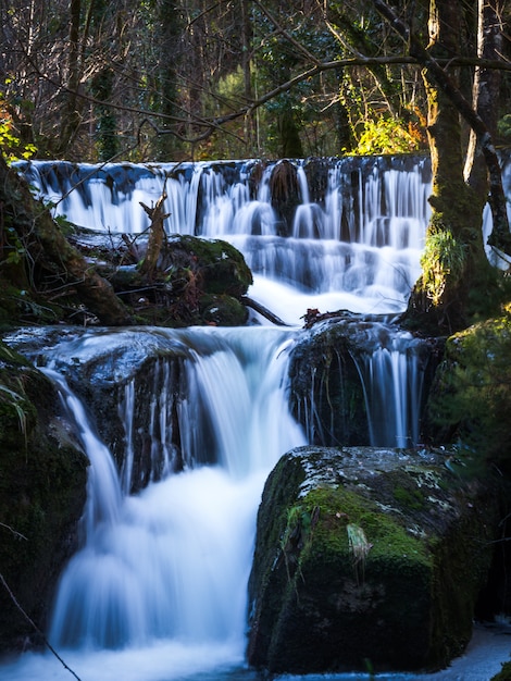 Wasserfall im Waldfluss