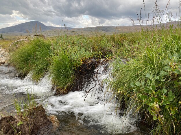 Wasserfall in den Bergen