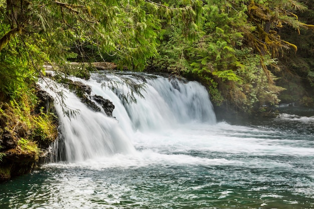 Wasserfall in den kanadischen Bergen