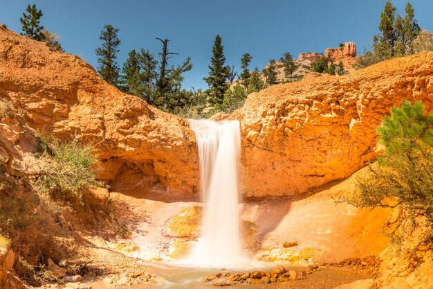 Foto wasserfall in der moosigen höhle